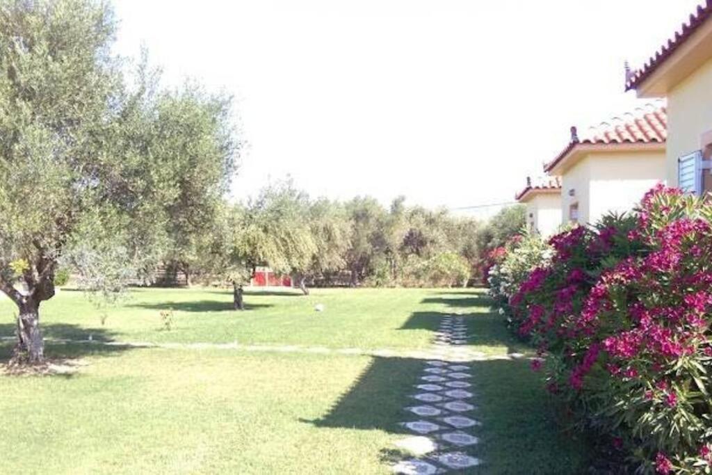 Phyllida Guest House - A2 Zacharo Exterior photo